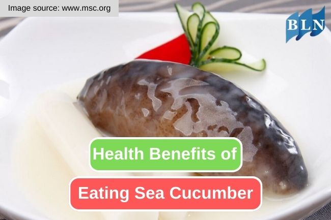 10 Reasons Why Eating Sea Cucumber Is Good for Your Health